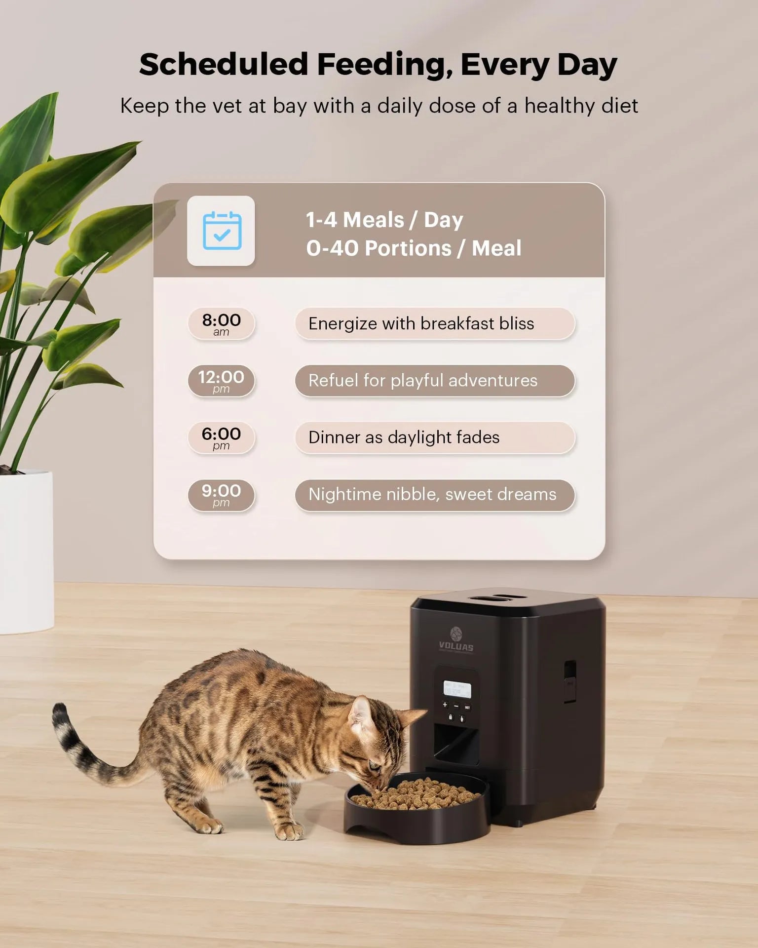 Smart Pet Meal Scheduler - Tech genius & freaks