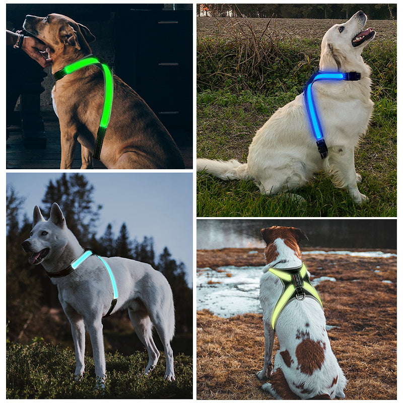 Pet supplies: explosion - proof, flushable, 8 - gear, color - changing LED, chest braces, clothes and collars with traction. - Tech genius & freaks