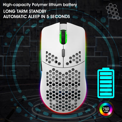 Lightweight hollow hole mouse RGB wireless 2.4G charging game light computer office mouse - Tech genius & freaks