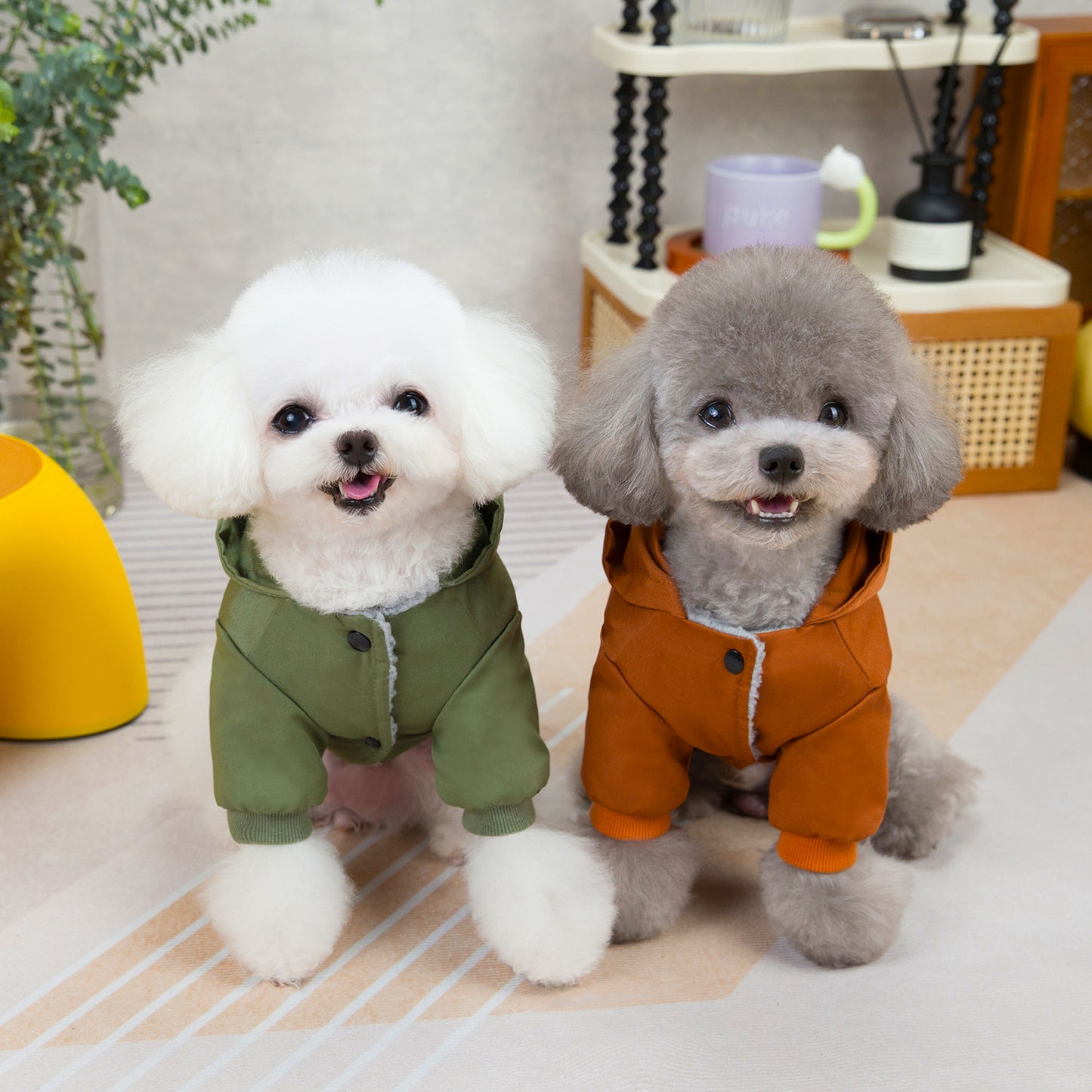 Pet clothes sweaters clothing for dogs teddy cats cool style two legged cotton clothes - Tech genius & freaks