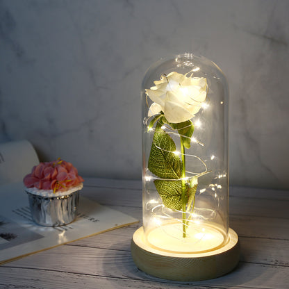 24k Gold Galaxy Rose with LED Light, Glass Dome, for Valentine's & Mother's Day. - Tech genius & freaks