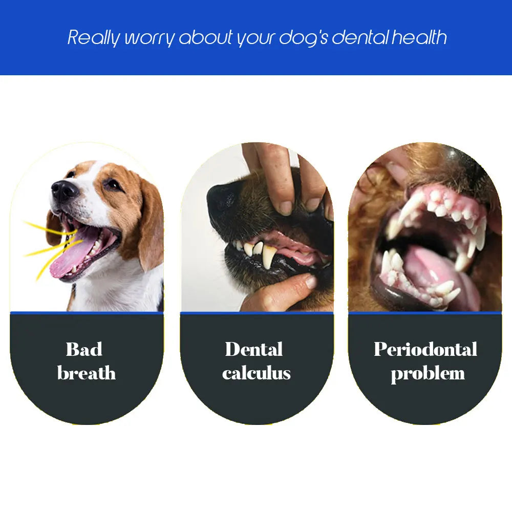 Dog Toothbrush Soft Pet Cat Toothbrush withThree Sided Dogs Rubber Tooth Brush Bad Breath Tartar Teeth Tool Pet Accessories - Tech genius & freaks