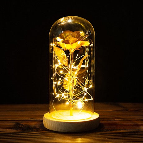 24k Gold Galaxy Rose with LED Light, Glass Dome, for Valentine's & Mother's Day. - Tech genius & freaks