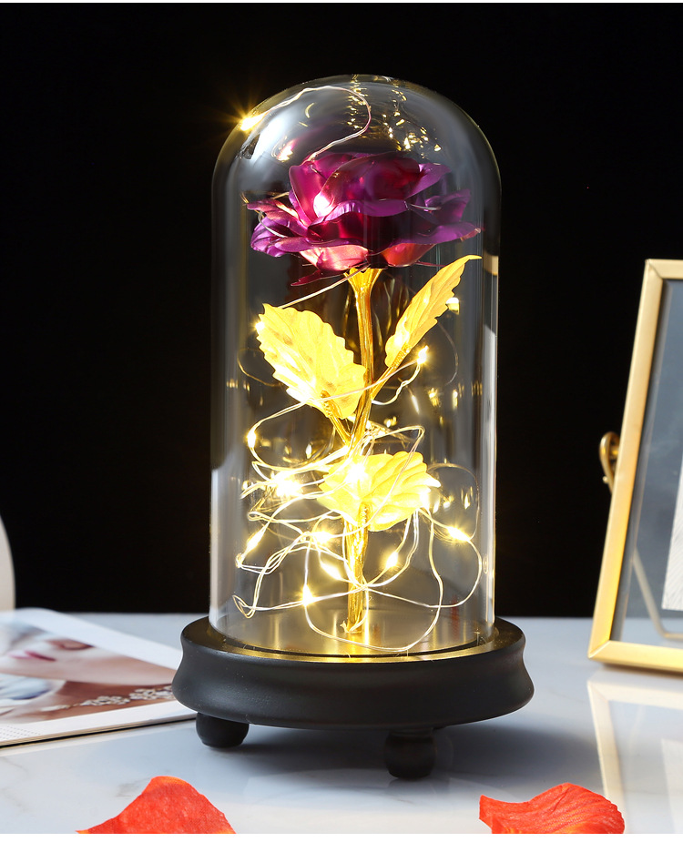 24k Gold Galaxy Rose with LED Light, Glass Dome, for Valentine's & Mother's Day. - Tech genius & freaks