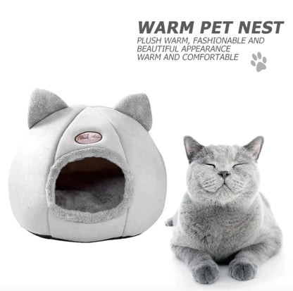 Winter Cozy Cat Haven - Tech genius & freaks