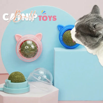 Natural Catnip Cat Rotatable Catnip Wall Ball Toys Licking Snacks Healthy Nutrition Ball Teeth Cleaning Catnip Toy Pet Supplies - Tech genius & freaks