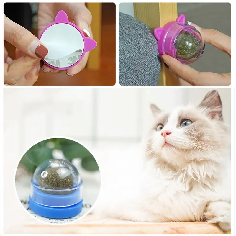 Natural Catnip Cat Rotatable Catnip Wall Ball Toys Licking Snacks Healthy Nutrition Ball Teeth Cleaning Catnip Toy Pet Supplies - Tech genius & freaks