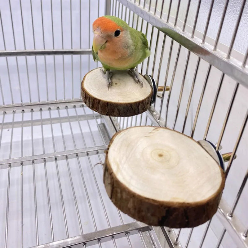 Natural Wood Pet Parrot Raw Wood Fork Tree Branch Stand Rack Squirrel Bird Hamster Branch Perches Chew Bite Toys Stick - Tech genius & freaks