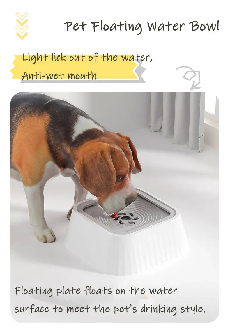 Splash-Proof Pet Hydrator - Tech genius & freaks