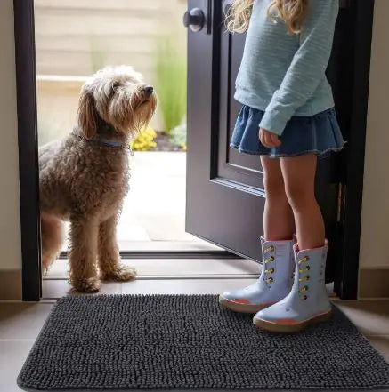 PetSafe Entry Rug - Tech genius & freaks